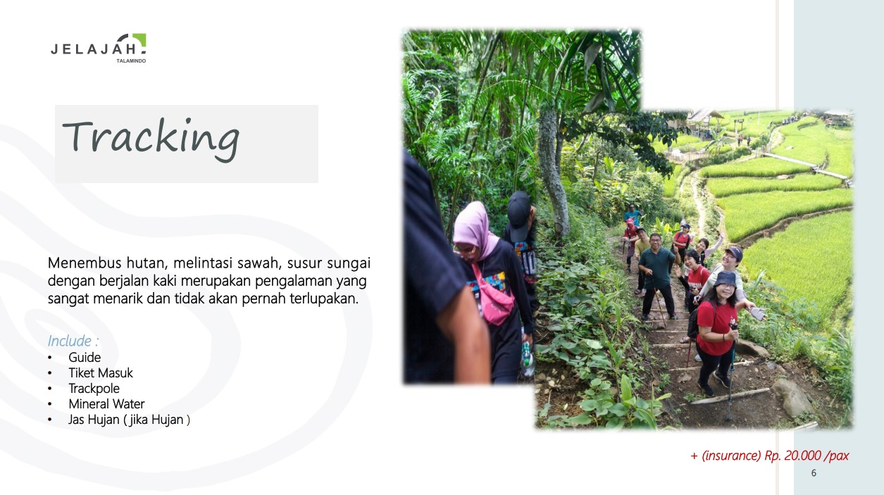 WhatsApp Image 2026-02-21 at 01.20.28